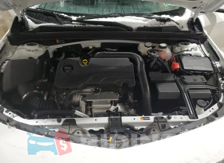 1G1ZD5ST9PF235318 Photo# 11