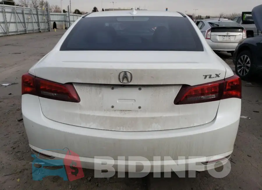19UUB1F58FA004564 Photo# 6