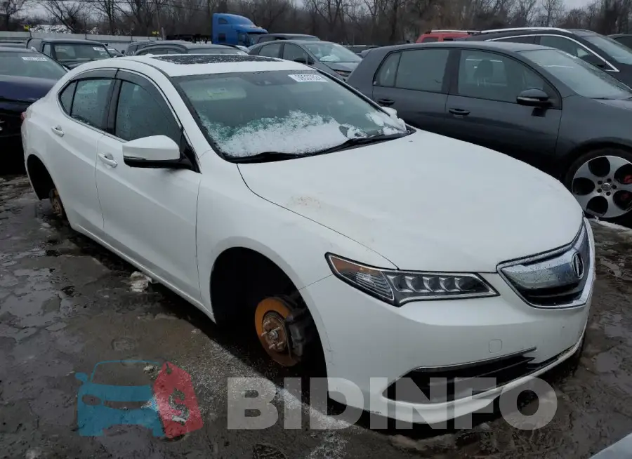 19UUB3F55FA003531 Photo# 4