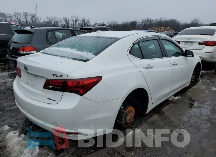 19UUB3F55FA003531 Photo# 3