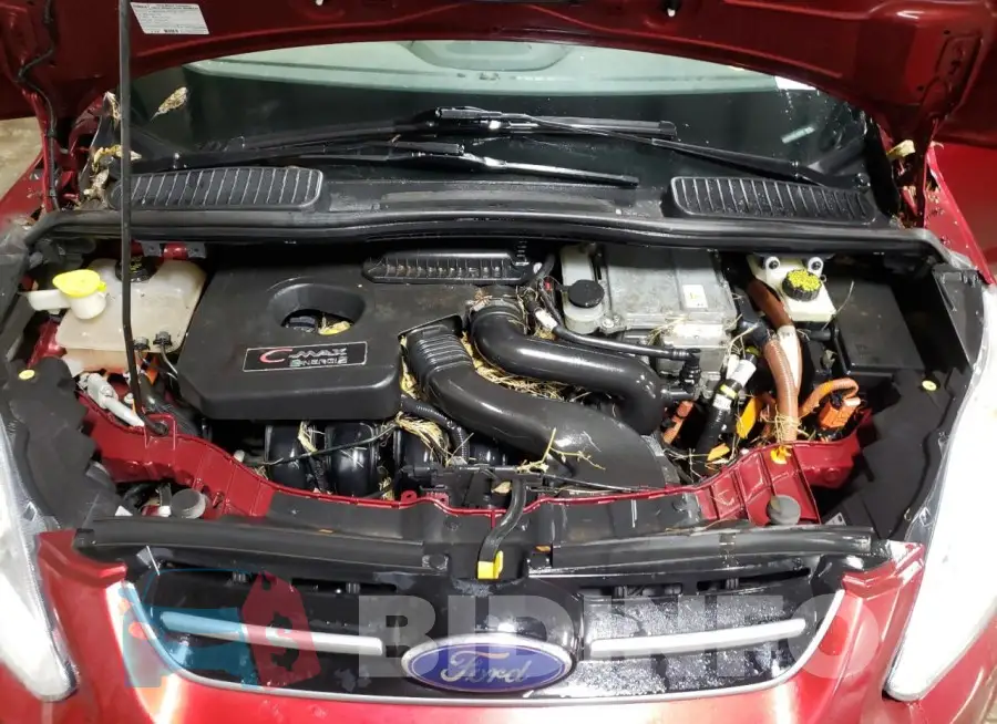 1FADP5CU1GL120817 Photo# 11