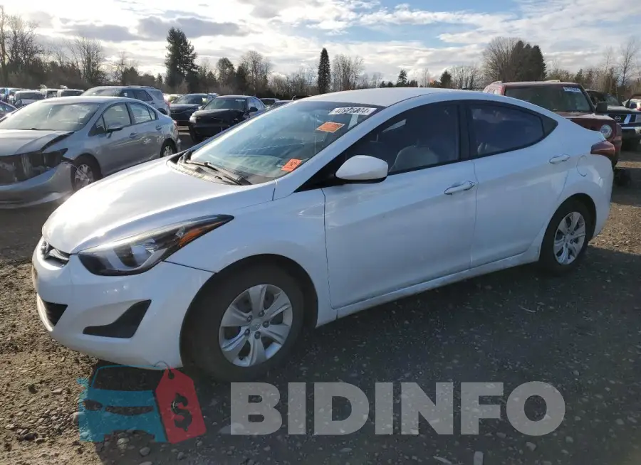 5NPDH4AE8GH767135 Photo# 1