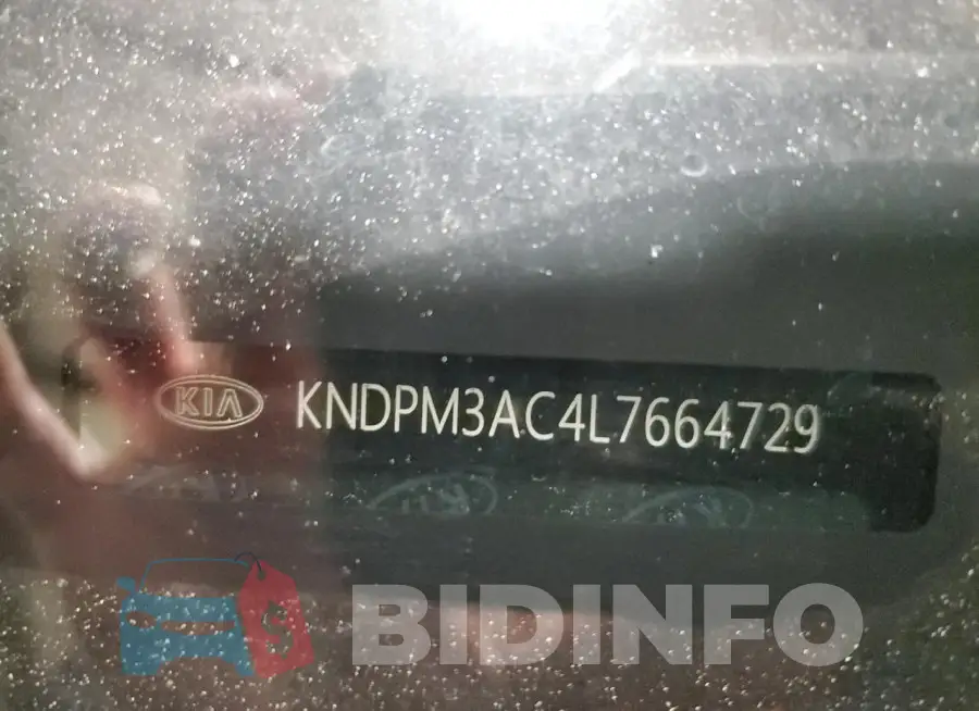 KNDPM3AC4L7664729 Photo# 12