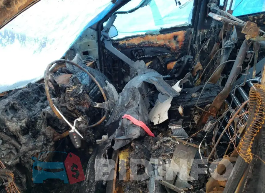 2LMDJ8JK9FBL31065 Photo# 7