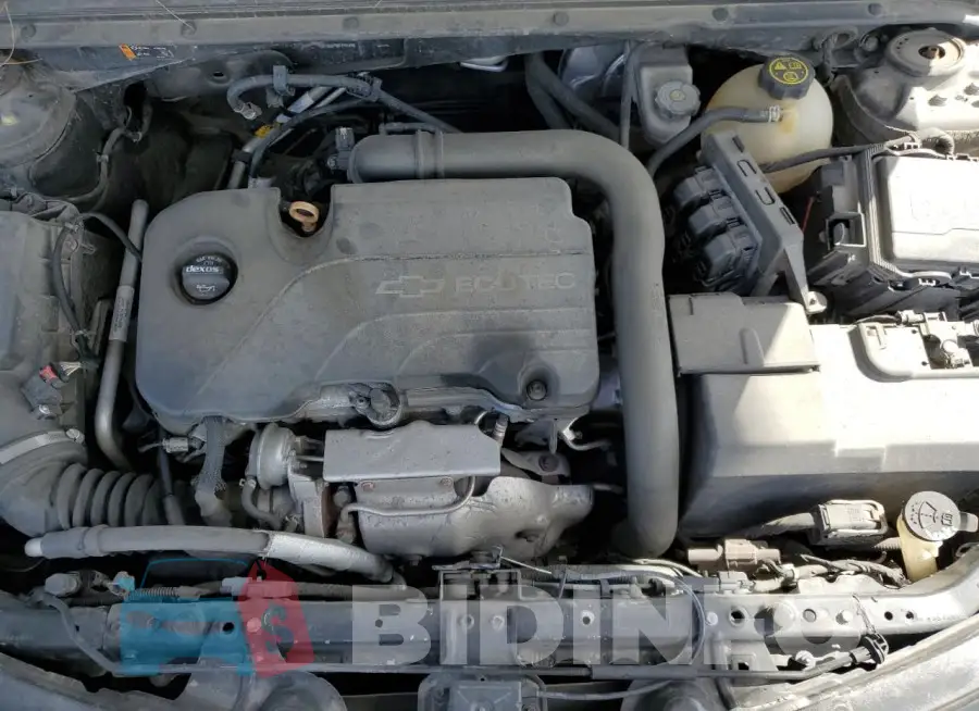1G1ZB5ST3GF292149 Photo# 11