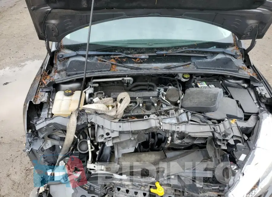 1FADP3F27GL201951 Photo# 11