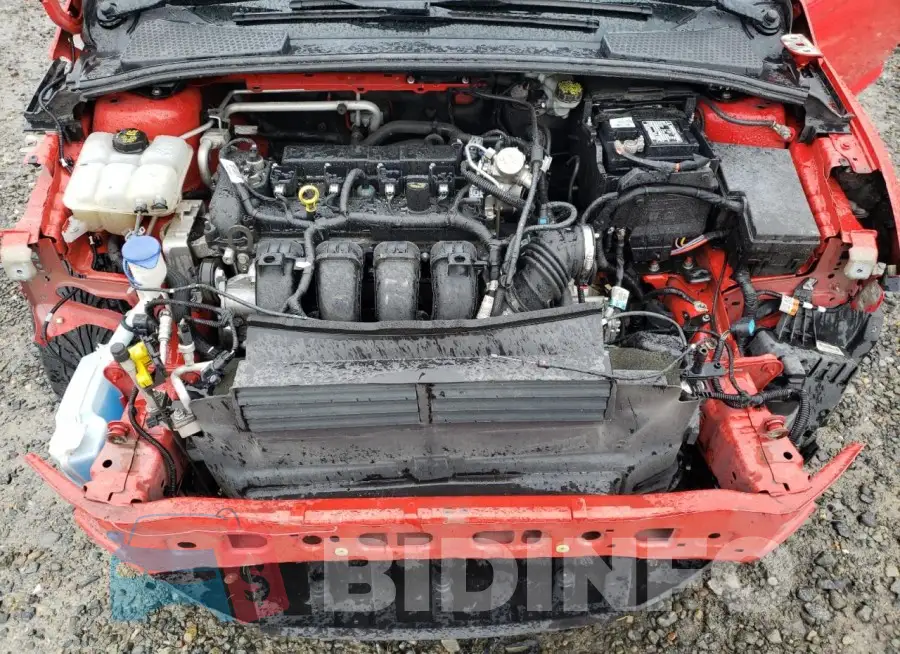 1FADP3F2XGL325051 Photo# 11