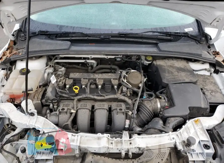 1FADP3K26GL217810 Photo# 11