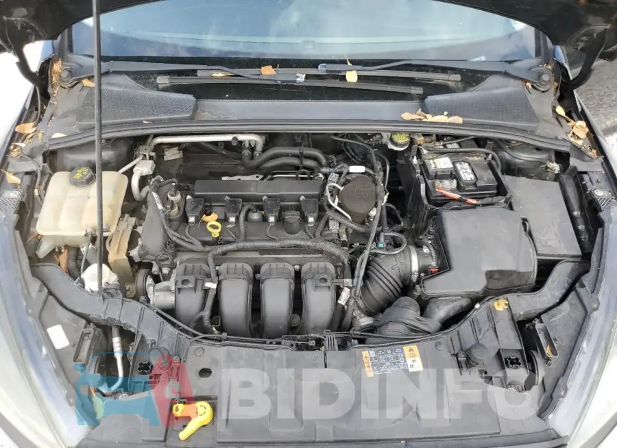 1FADP3K28FL319513 Photo# 11