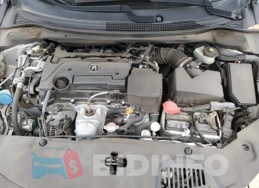 19UDE2F31KA010809 Photo# 11