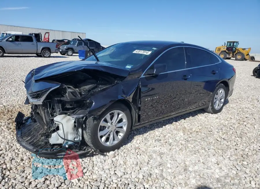 1G1ZD5ST3PF113442 Photo# 1