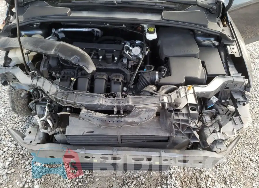 1FADP3F20HL332821 Photo# 11
