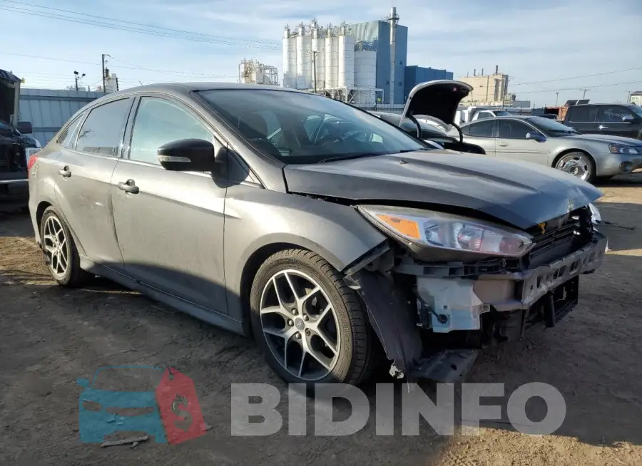 1FADP3F22GL202635 Photo# 4