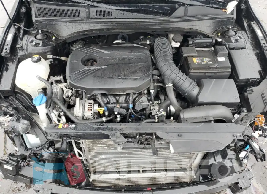 3KPF44AC2LE231234 Photo# 11