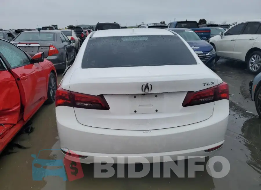 19UUB2F51GA010150 Photo# 6