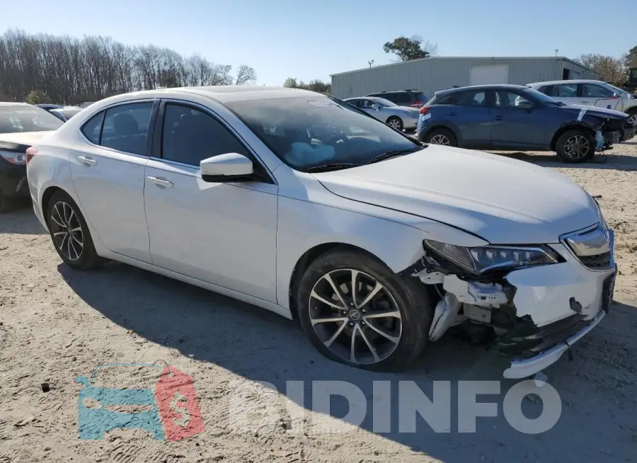 19UUB2F56FA018596 Photo# 4
