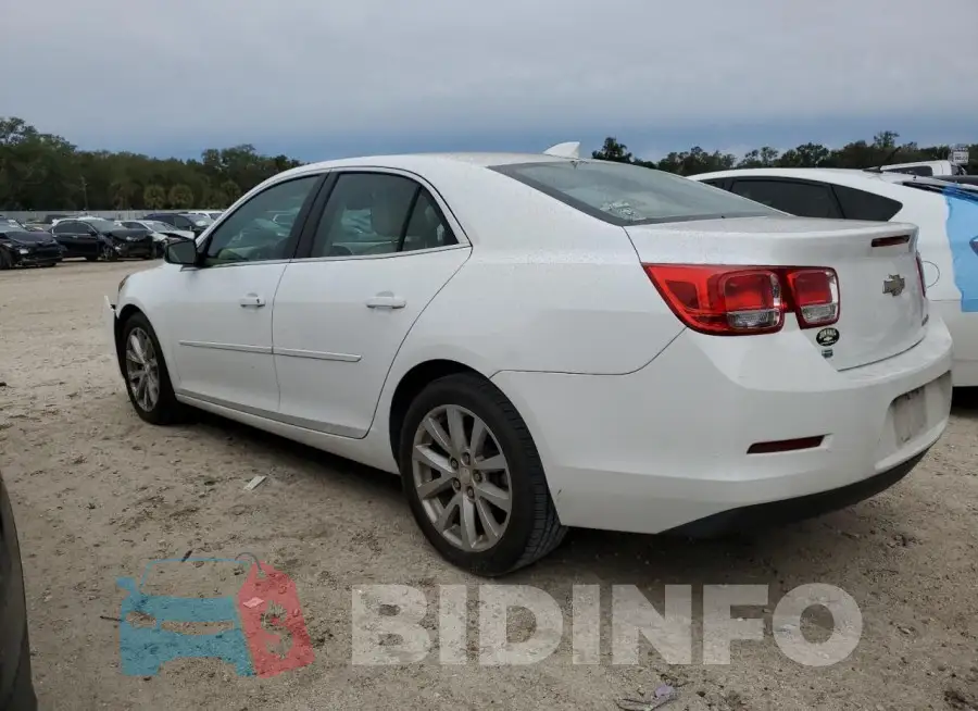 1G11D5SL0FF305526 Photo# 2