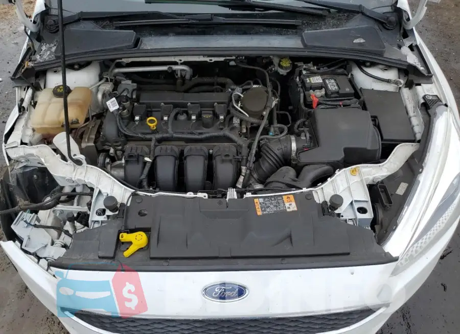 1FADP3E21GL258258 Photo# 11