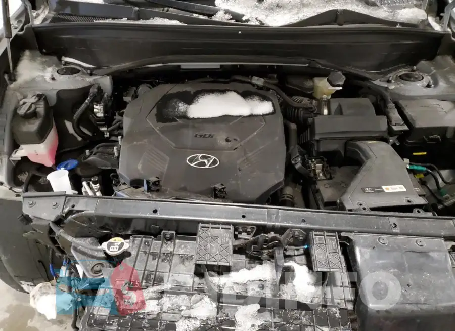 KM8R7DGE0PU570607 Photo# 12