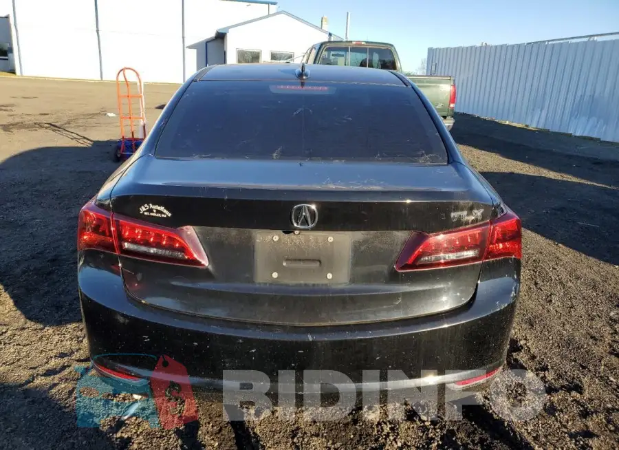 19UUB1F33FA008830 Photo# 6