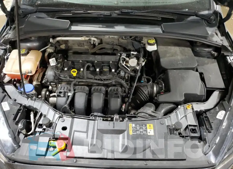 1FADP3H25HL340121 Photo# 11