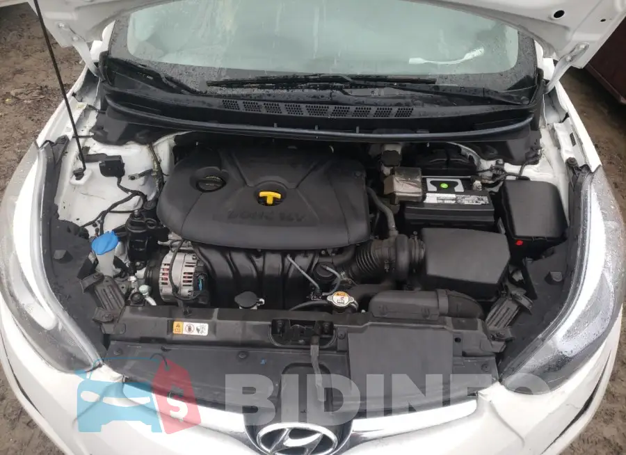 5NPDH4AE6GH665509 Photo# 11
