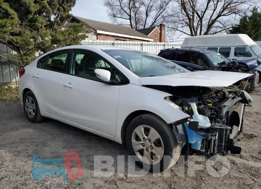 KNAFX4A66F5351617 Photo# 4