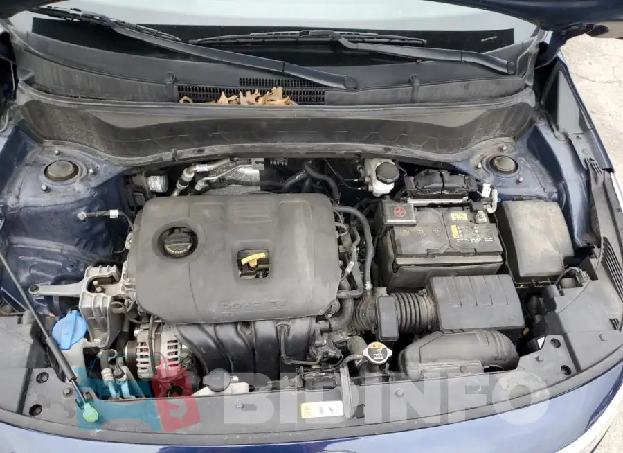 KNDERCAA6M7179212 Photo# 11