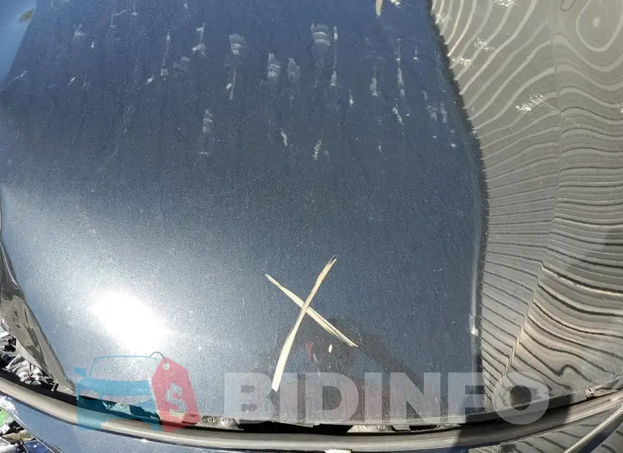 5YFEPMAE7MP177272 Photo# 11