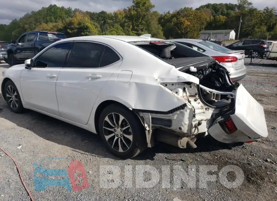 19UUB1F37FA024223 Photo# 2
