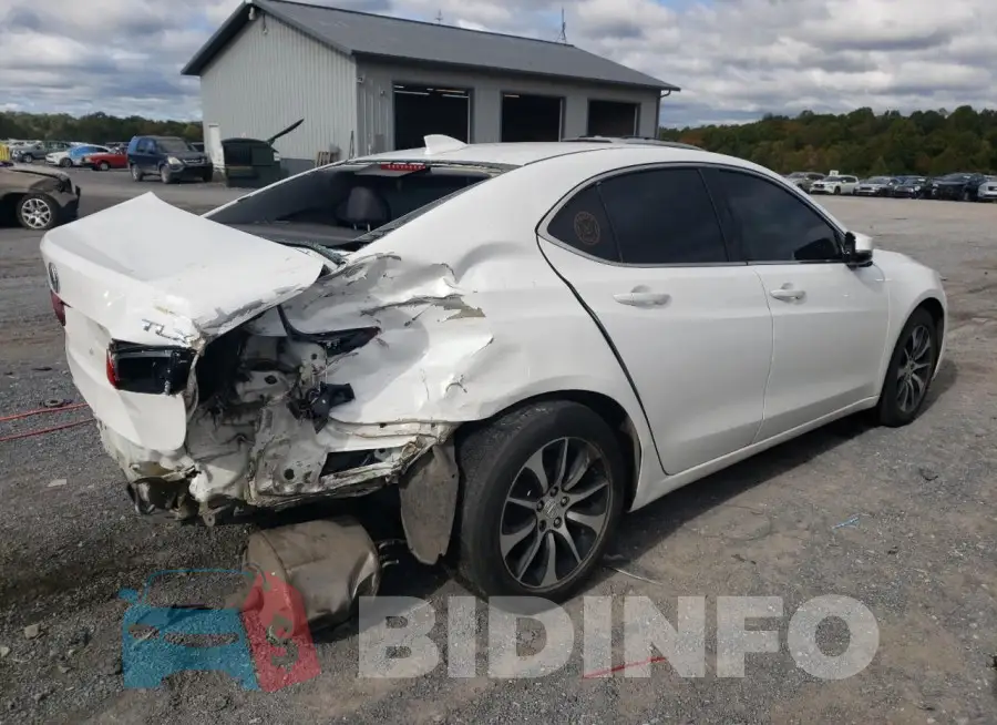 19UUB1F37FA024223 Photo# 3