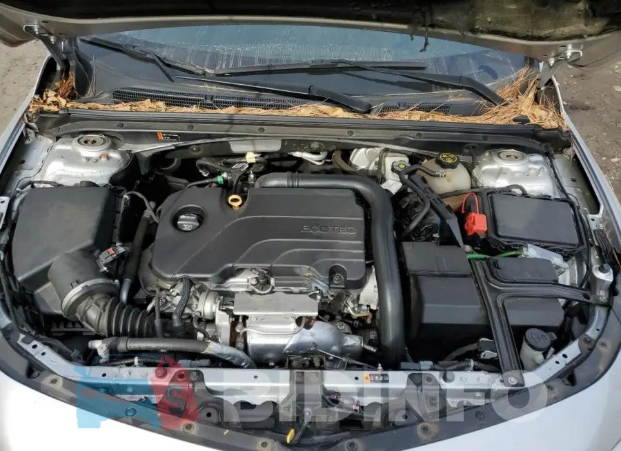 1G1ZD5ST2JF224541 Photo# 11
