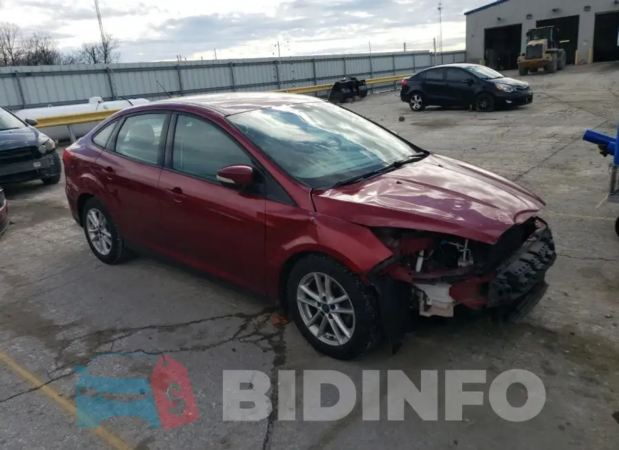 1FADP3F24GL221025 Photo# 4
