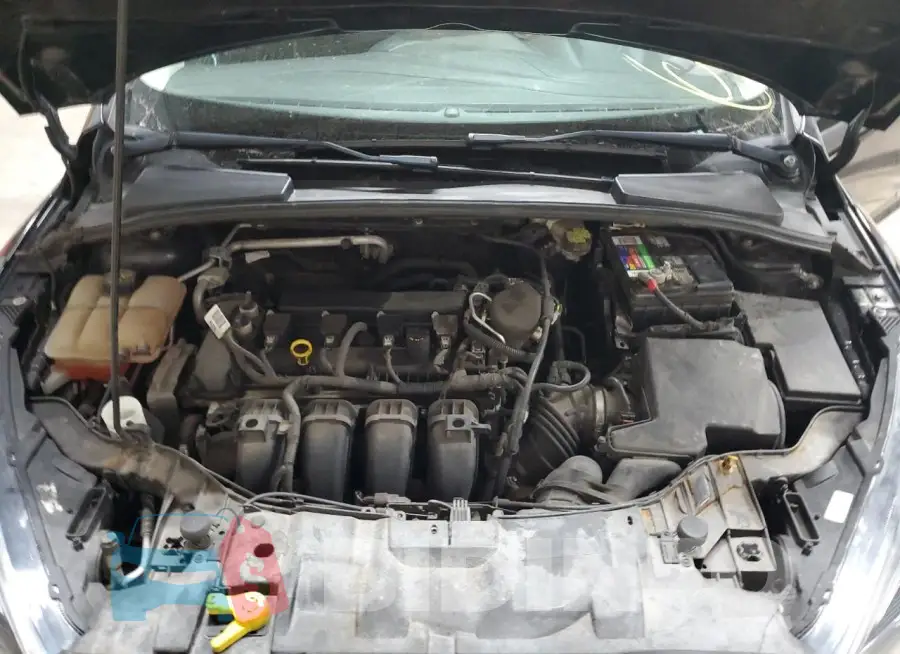 1FADP3K27FL302766 Photo# 11