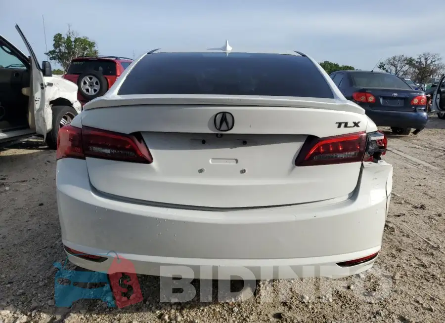 19UUB1F33FA013316 Photo# 6