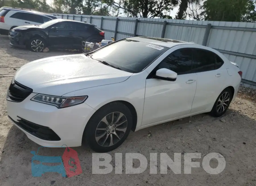 19UUB1F33FA013316 Photo# 1