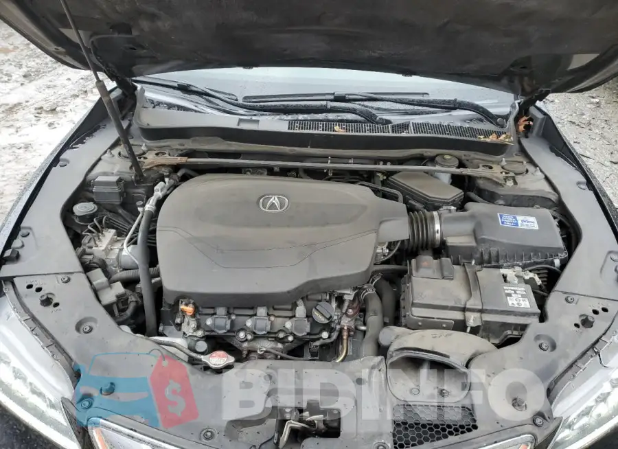 19UUB2F37FA010991 Photo# 11