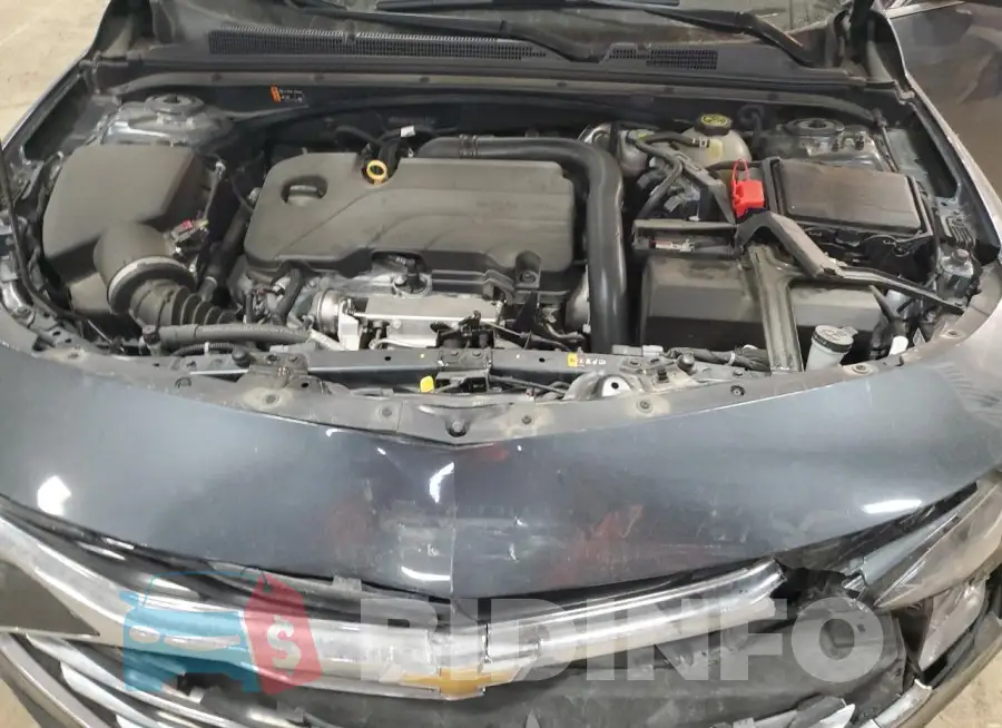 1G1ZD5ST8LF034830 Photo# 11
