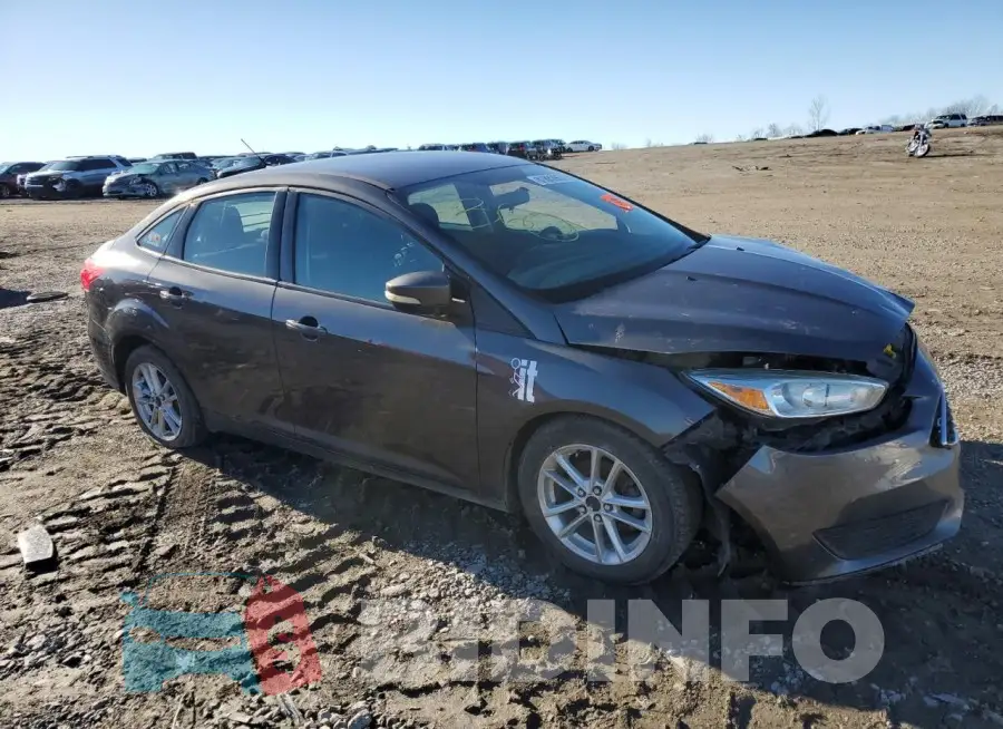 1FADP3F24GL266742 Photo# 4