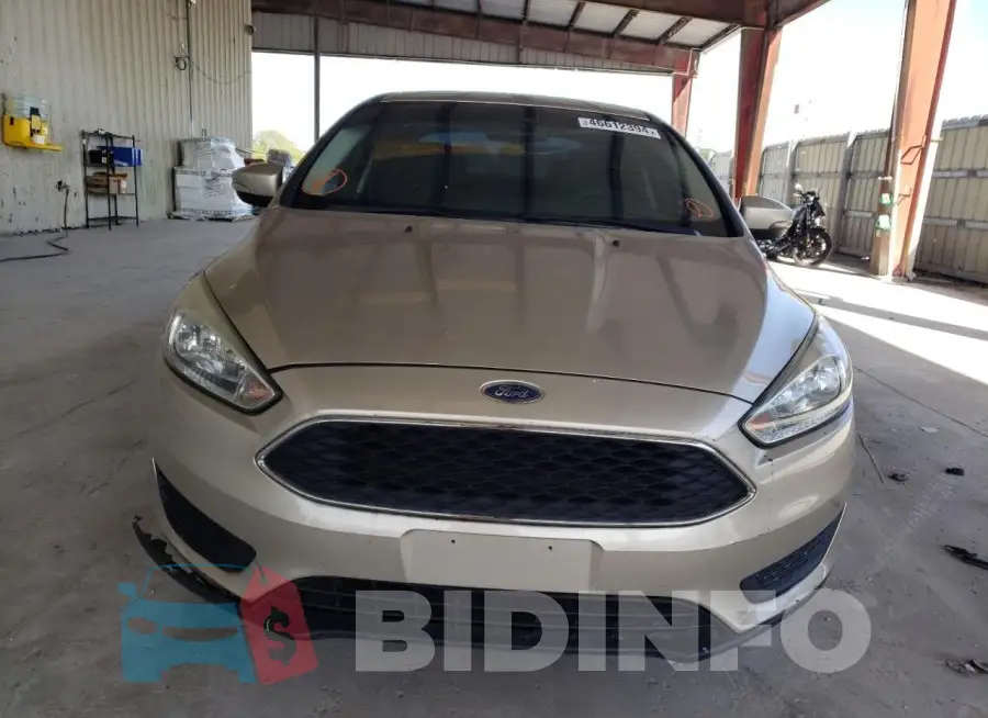 1FADP3F29HL258489 Photo# 5
