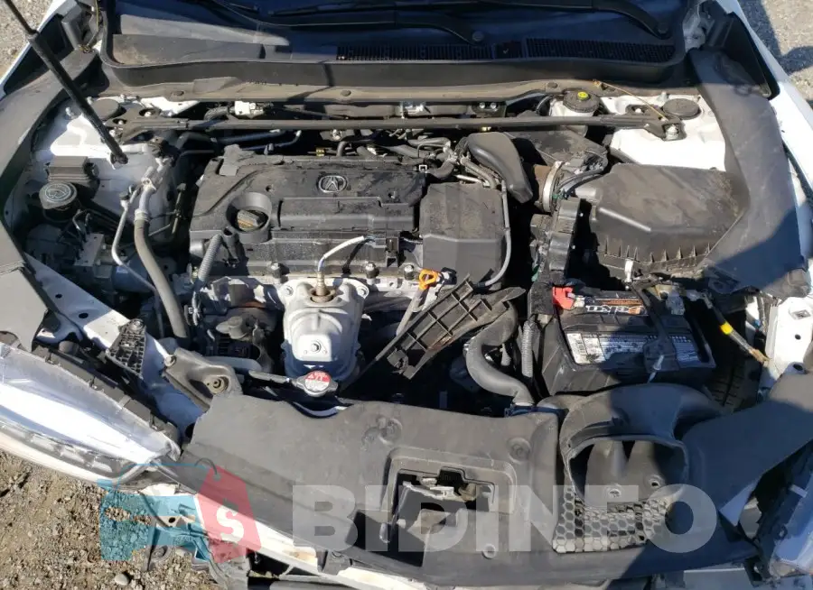 19UUB1F36KA010744 Photo# 11
