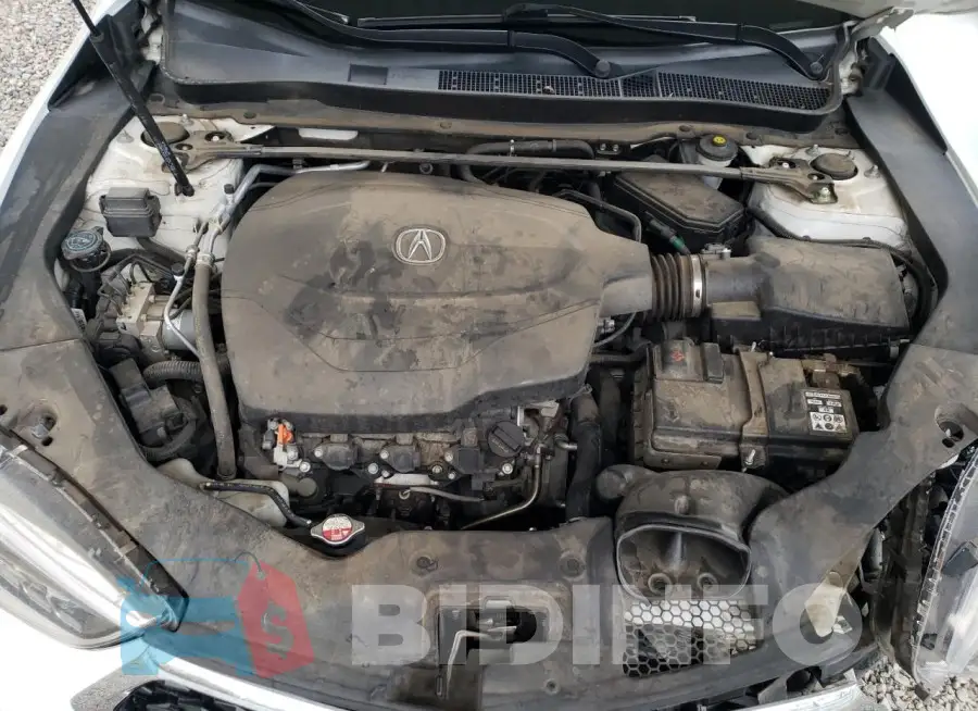 19UUB2F53JA003062 Photo# 11