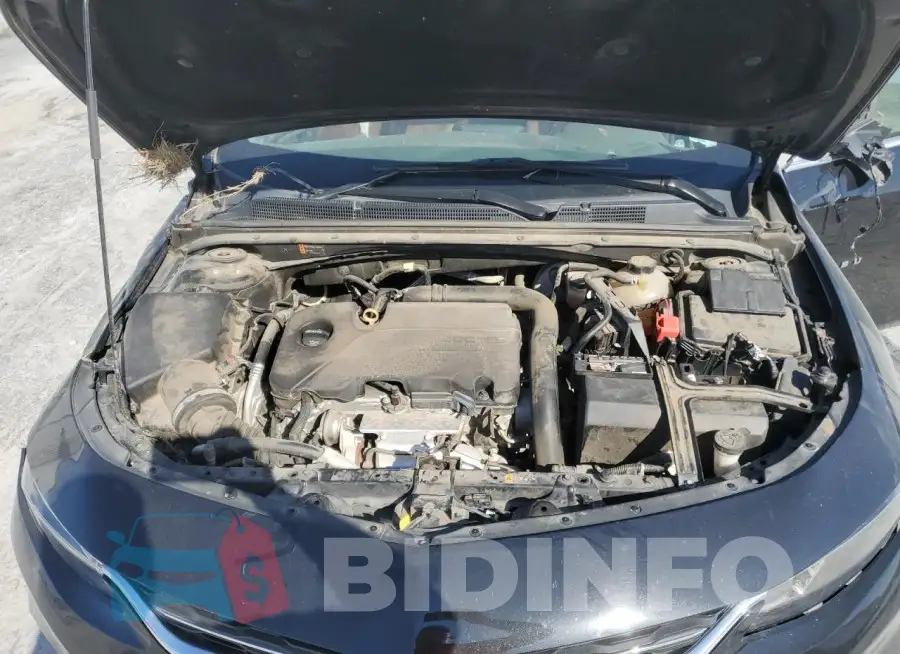 1G1ZD5ST2JF240982 Photo# 11