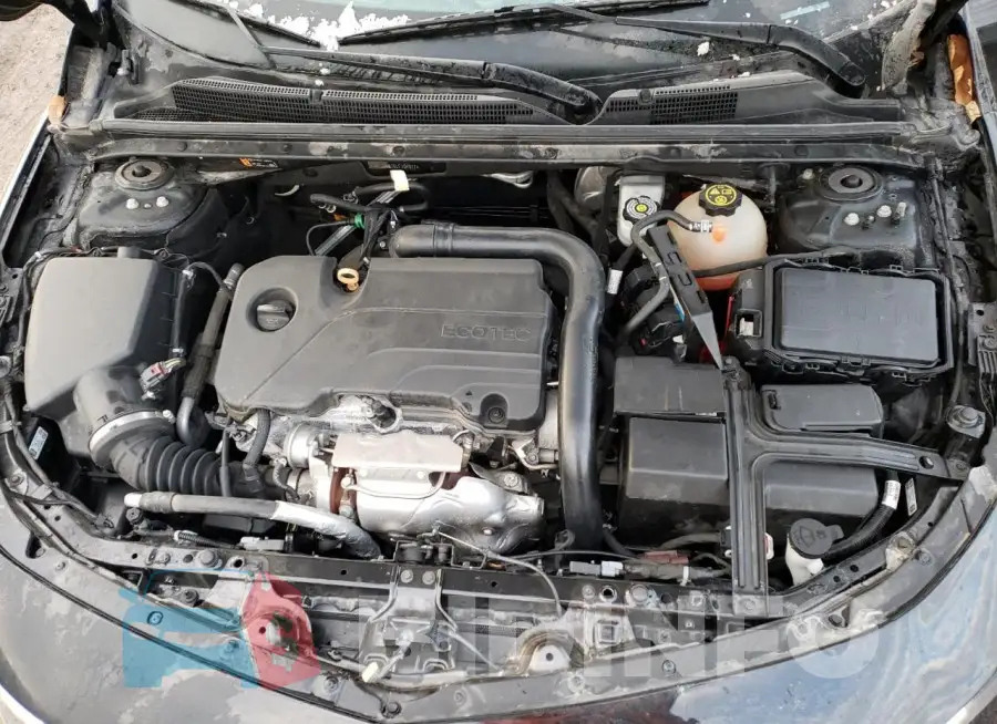 1G1ZD5ST5LF104977 Photo# 11