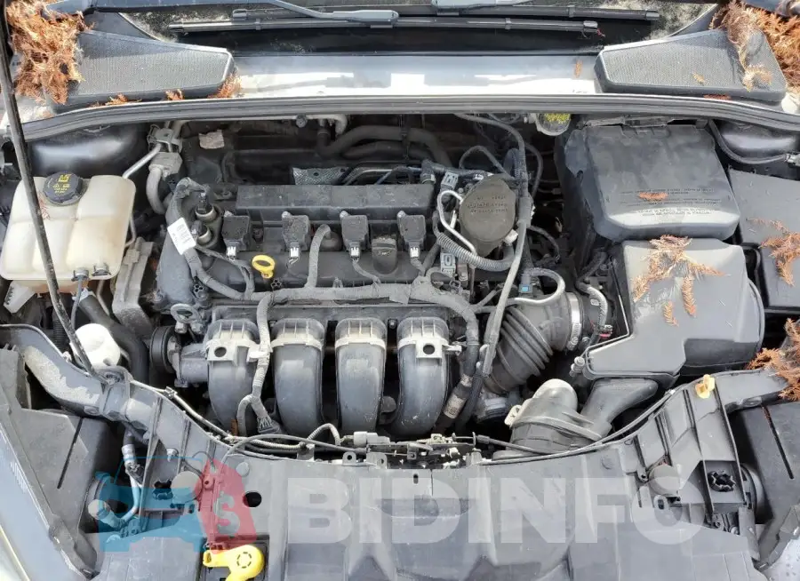 1FADP3F28GL253024 Photo# 11