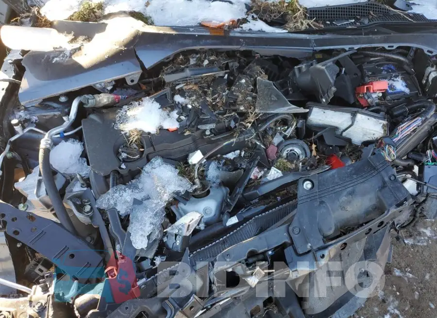 2HGFE2F52NH512065 Photo# 11