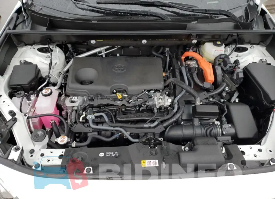 JTMRWRFV1PD208114 Photo# 12