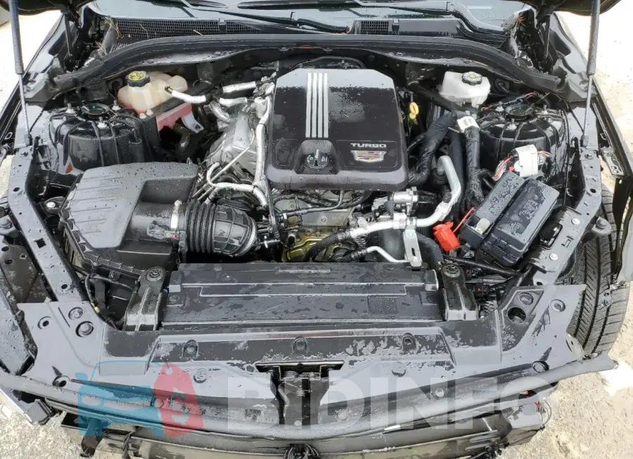 1G6DW5RK8M0113852 Photo# 11