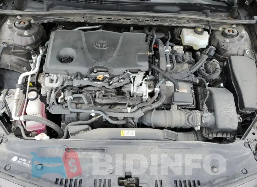 4T1C31AK5LU528183 Photo# 11