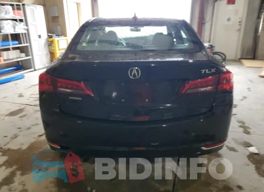 19UUB1F50FA015249 Photo# 6